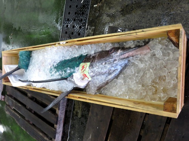 カジキマグロと言う魚はいないって知ってました 横浜丸魚株式会社