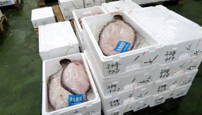 ナメタガレイは誰しもが認める旬の食材です 横浜丸魚株式会社