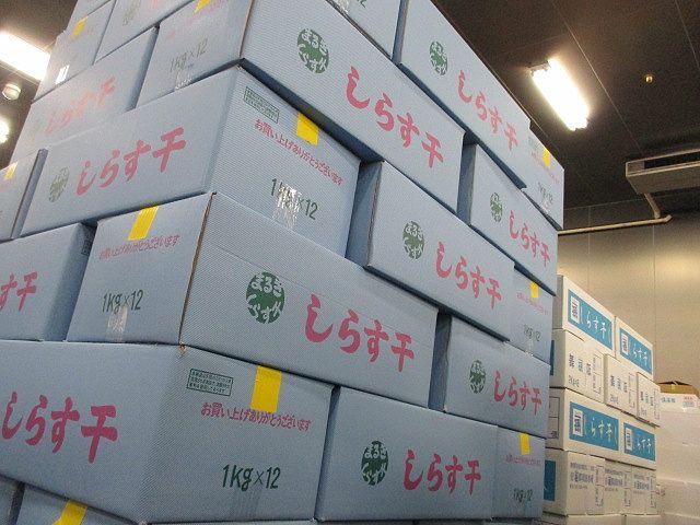 しらすの水揚げ日本一の島 マルキのしらす干入荷 横浜丸魚株式会社