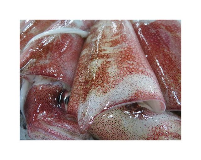 式根島の赤イカ １度は食べてみたい 横浜丸魚株式会社